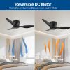 40" Flush Mount Ceiling Fan without light, 3 Reversible Blades, with 6 Speeds Reversible DC Motor,Low Profile Ceiling Fan with no light for Living Roo