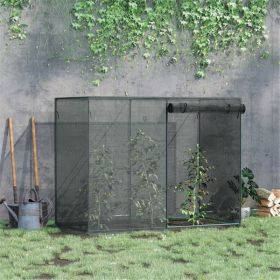 Walk-in Mini Greenhouse (Swiship-Ship)(Prohibited by WalMart) (Color: as picture)